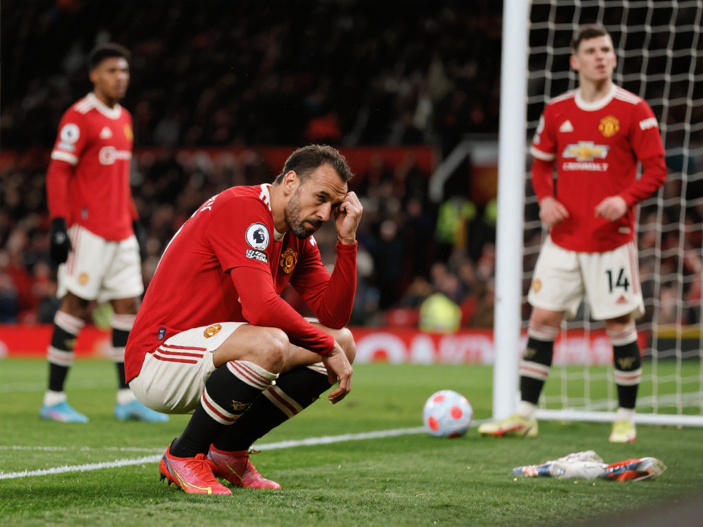 有力竞争者 有力竞争者